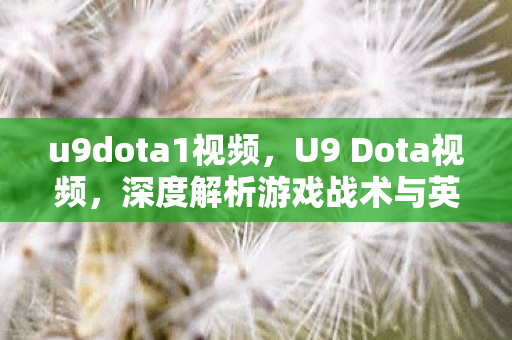 u9dota1视频，U9 Dota视频，深度解析游戏战术与英雄技能