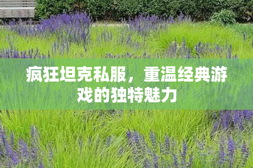 疯狂坦克私服，重温经典游戏的独特魅力