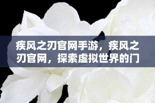 疾风之刃官网手游，疾风之刃官网，探索虚拟世界的门户
