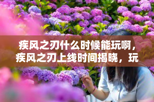 疾风之刃什么时候能玩啊，疾风之刃上线时间揭晓，玩家期待已久的新世界即将开启！