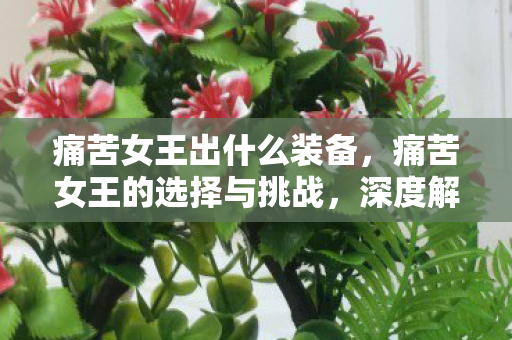 痛苦女王出什么装备，痛苦女王的选择与挑战，深度解析其装备与技能