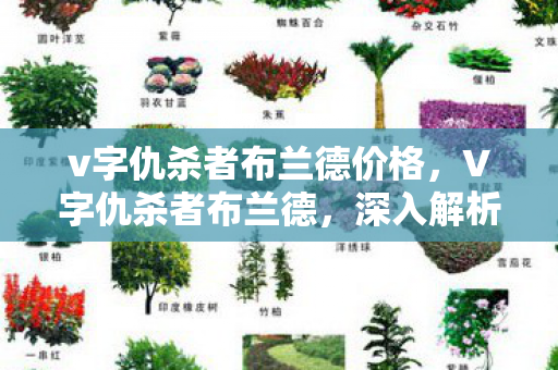 v字仇杀者布兰德价格，V字仇杀者布兰德，深入解析一部黑暗英雄的诞生与复仇之路