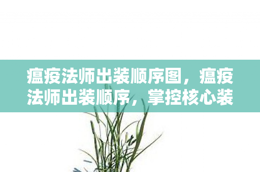 瘟疫法师出装顺序图，瘟疫法师出装顺序，掌控核心装备，引领胜利潮流