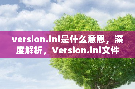 version.ini是什么意思，深度解析，Version.ini文件的作用与配置要点