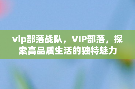 vip部落战队，VIP部落，探索高品质生活的独特魅力