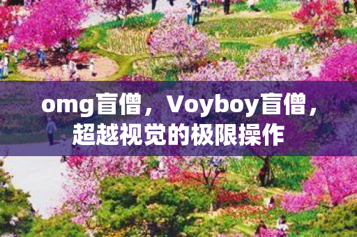 omg盲僧，Voyboy盲僧，超越视觉的极限操作