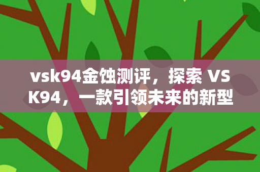 vsk94金蚀测评，探索 VSK94，一款引领未来的新型科技产品