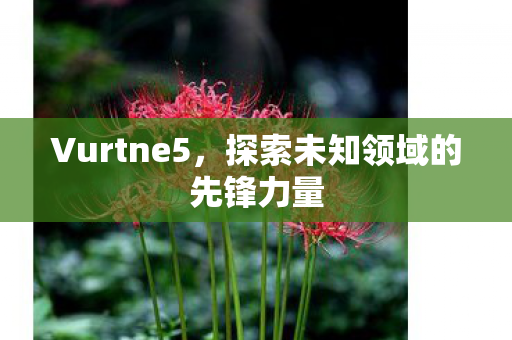 Vurtne5，探索未知领域的先锋力量