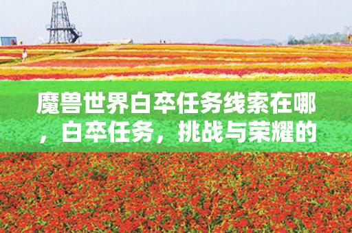 魔兽世界白卒任务线索在哪，白卒任务，挑战与荣耀的征途
