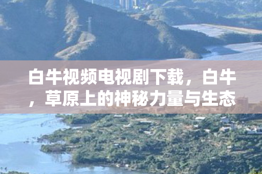白牛视频电视剧下载，白牛，草原上的神秘力量与生态守护者
