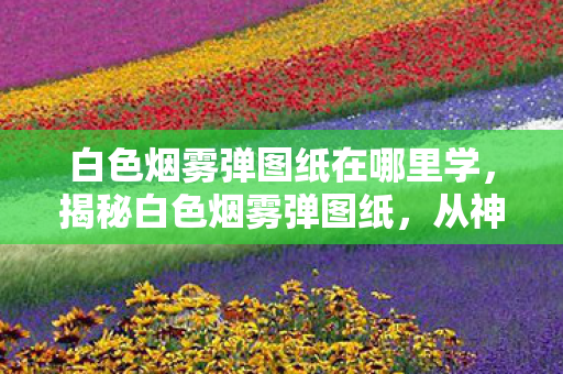 白色烟雾弹图纸在哪里学，揭秘白色烟雾弹图纸，从神秘面纱到技术解析