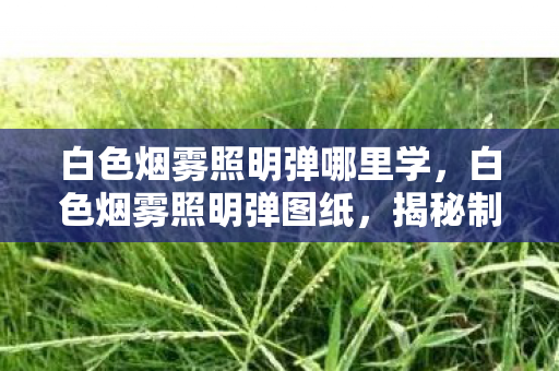 白色烟雾照明弹哪里学，白色烟雾照明弹图纸，揭秘制作神秘照明工具的全过程