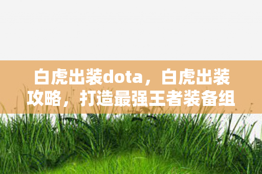 白虎出装dota，白虎出装攻略，打造最强王者装备组合