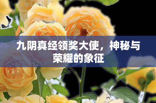 九阴真经领奖大使，神秘与荣耀的象征