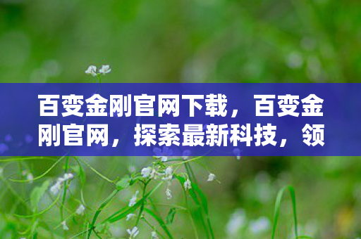 百变金刚官网下载，百变金刚官网，探索最新科技，领略机械魅力