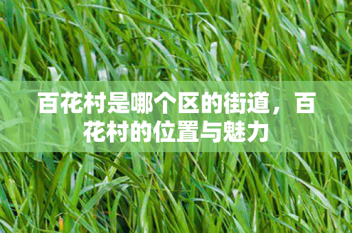 百花村是哪个区的街道，百花村的位置与魅力