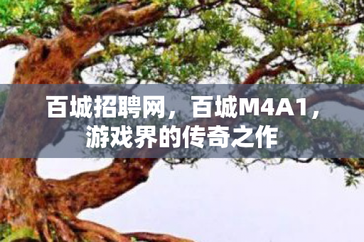 百城招聘网，百城M4A1，游戏界的传奇之作