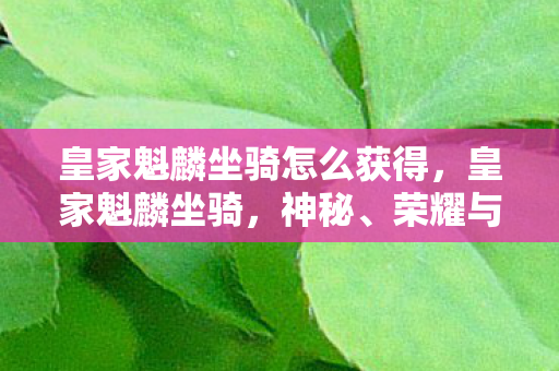 皇家魁麟坐骑怎么获得，皇家魁麟坐骑，神秘、荣耀与力量的象征