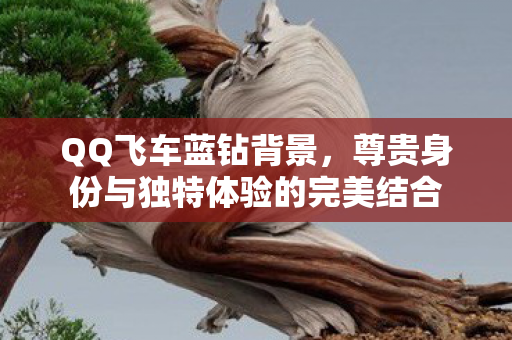 QQ飞车蓝钻背景,尊贵身份与独特体验的完美结合 QQ飞车蓝钻背景,尊贵身份与独特体验的完美结合