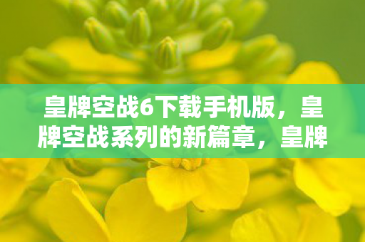 皇牌空战6下载手机版,皇牌空战系列的新篇章,皇牌空战6下载攻略及体验分享 皇牌空战6下载手机版,皇牌空战系列的新篇章,皇牌空战6下载攻略及体验分享