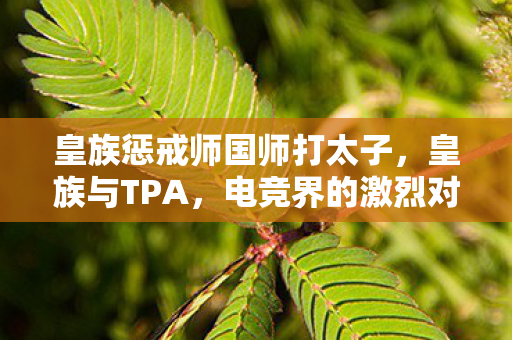 皇族惩戒师国师打太子，皇族与TPA，电竞界的激烈对决