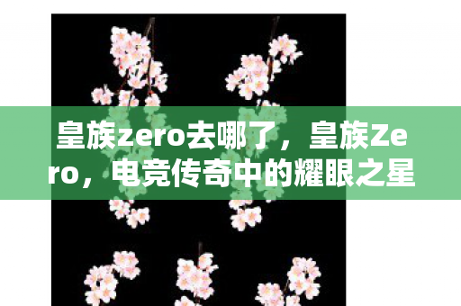 皇族zero去哪了，皇族Zero，电竞传奇中的耀眼之星