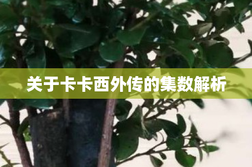 关于卡卡西外传的集数解析 关于卡卡西外传的集数解析