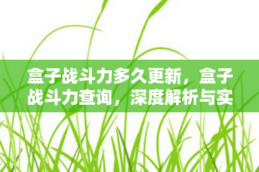 盒子战斗力多久更新，盒子战斗力查询，深度解析与实战应用指南