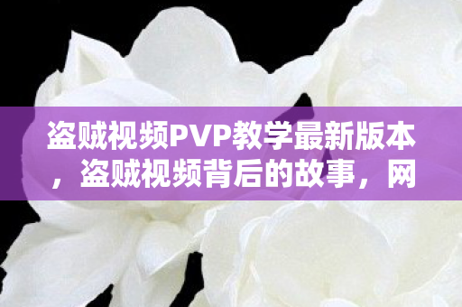 盗贼视频PVP教学最新版本，盗贼视频背后的故事，网络时代的犯罪现象探讨