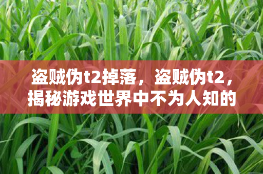 盗贼伪t2掉落，盗贼伪t2，揭秘游戏世界中不为人知的秘密