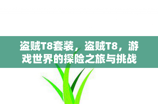盗贼T8套装，盗贼T8，游戏世界的探险之旅与挑战