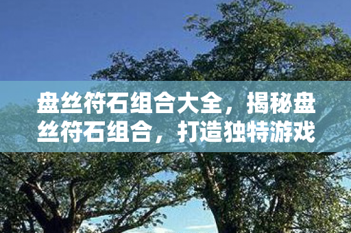 盘丝符石组合大全，揭秘盘丝符石组合，打造独特游戏装备的秘密武器