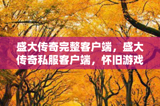 盛大传奇完整客户端，盛大传奇私服客户端，怀旧游戏的新体验