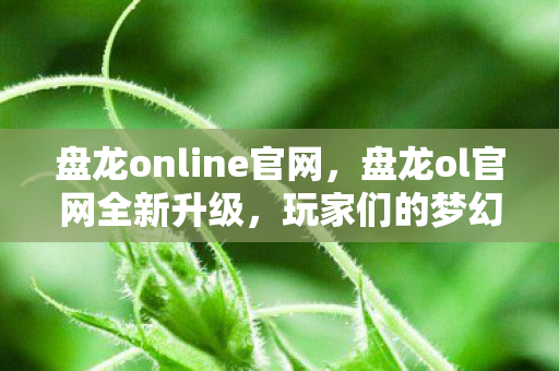 盘龙online官网，盘龙ol官网全新升级，玩家们的梦幻世界即将开启！
