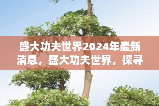 盛大功夫世界2024年最新消息，盛大功夫世界，探寻传统武术的魅力与现代价值