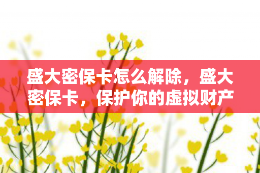 盛大密保卡怎么解除，盛大密保卡，保护你的虚拟财产安全