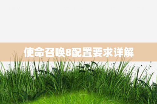 使命召唤8配置要求详解