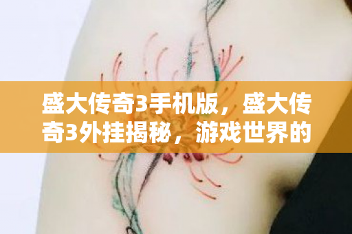 盛大传奇3手机版，盛大传奇3外挂揭秘，游戏世界的暗流涌动与道德伦理的博弈