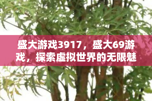 盛大游戏3917，盛大69游戏，探索虚拟世界的无限魅力