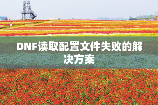 DNF读取配置文件失败的解决方案