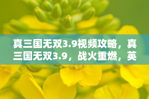真三国无双3.9视频攻略，真三国无双3.9，战火重燃，英雄再现视频解析