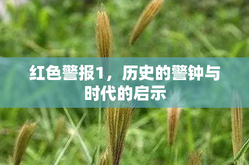 红色警报1，历史的警钟与时代的启示