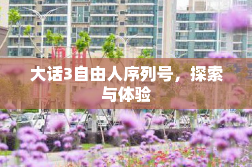 大话3自由人序列号，探索与体验