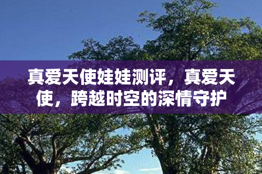 真爱天使娃娃测评，真爱天使，跨越时空的深情守护