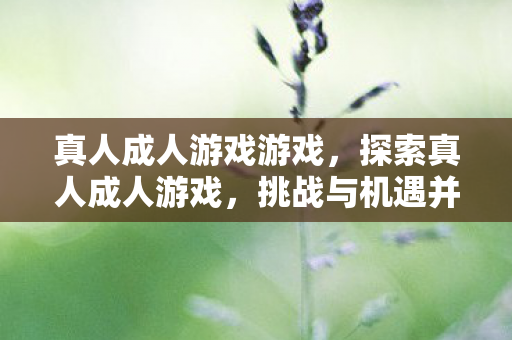 真人成人游戏游戏，探索真人成人游戏，挑战与机遇并存的新兴领域