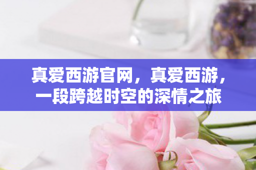 真爱西游官网，真爱西游，一段跨越时空的深情之旅