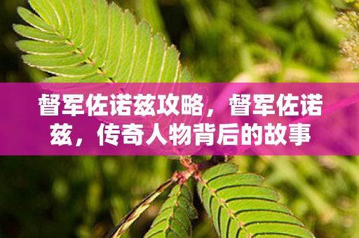 督军佐诺兹攻略，督军佐诺兹，传奇人物背后的故事