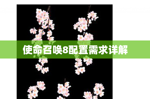 使命召唤8配置需求详解