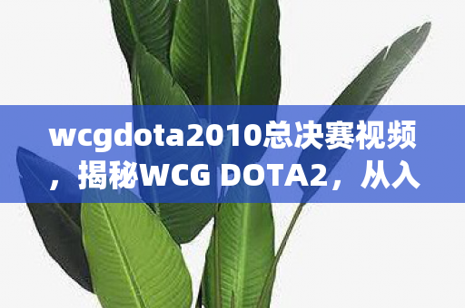 wcgdota2010总决赛视频，揭秘WCG DOTA2，从入门到精通的全方位解析