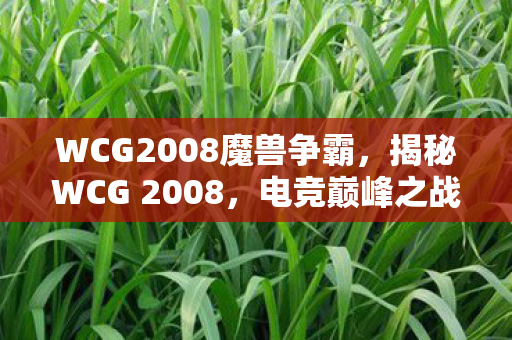 WCG2008魔兽争霸，揭秘WCG 2008，电竞巅峰之战的幕后故事